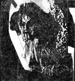 Down to Earth, Fighting With Your Sword